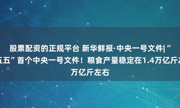 股票配资的正规平台 新华鲜报·中央一号文件|“十五五”首个中央一号文件！粮食产量稳定在1.4万亿斤左右