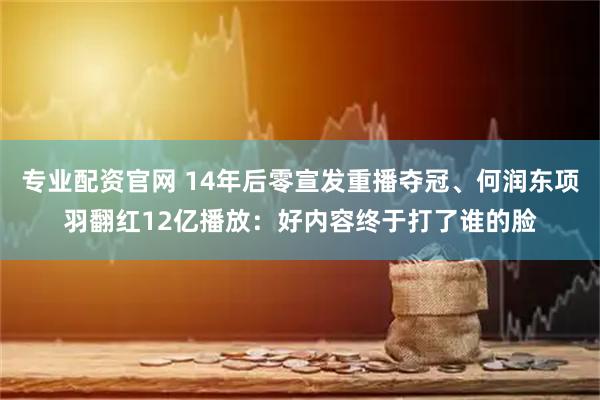 专业配资官网 14年后零宣发重播夺冠、何润东项羽翻红12亿播放：好内容终于打了谁的脸